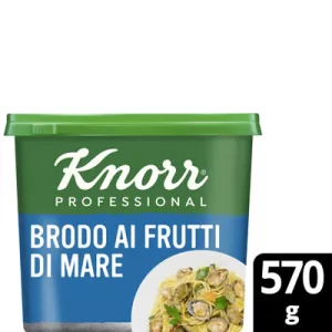 Knorr Brodo me Fruta Deti 570g